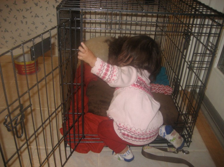 Can't a dog get a minute's peace around here?