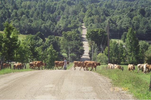 20050826b_vermont_large